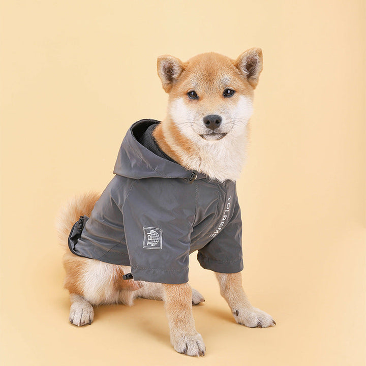 Why Your Pet Needs Rainproof Clothes for Every Adventure