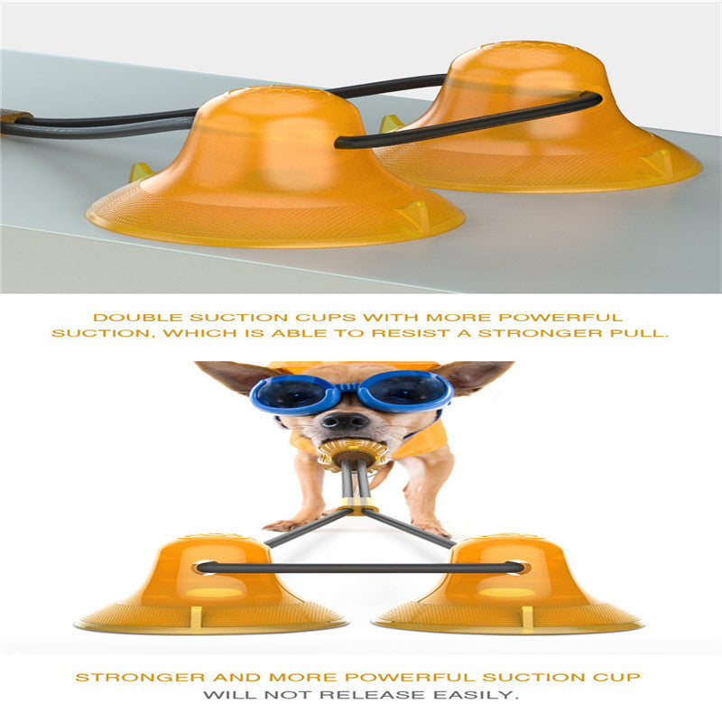 Why Your Dog Needs Our Rubber Toy Set