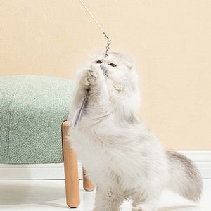Unleash the Fun with the Cat Laser Set Feather Funny Cat Stick Toy