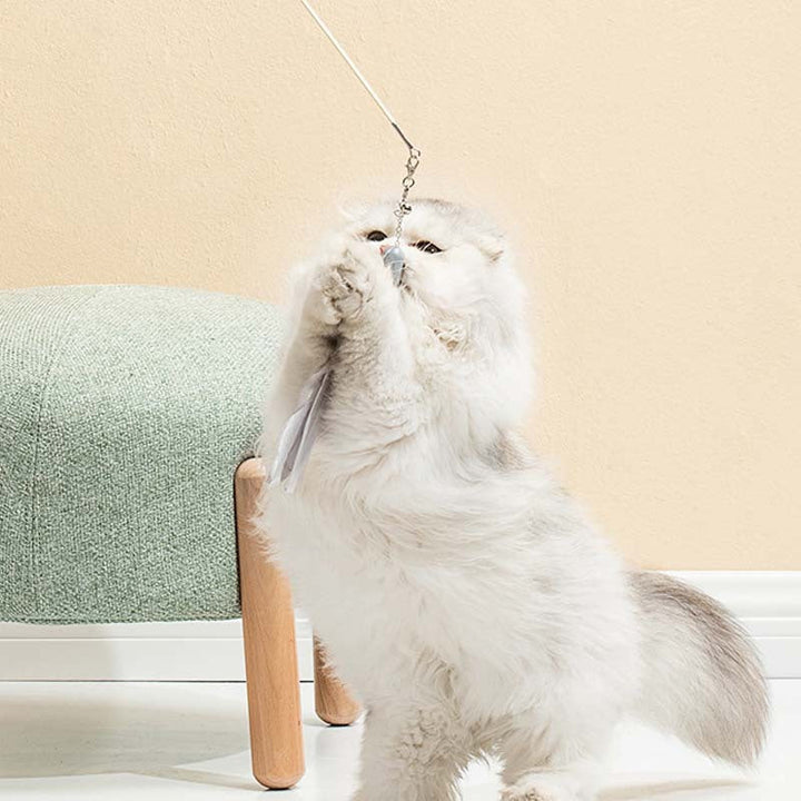 Unleash the Fun with the Cat Laser Set Feather Funny Cat Stick Toy