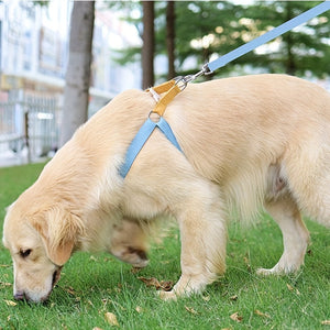 Rainbow Colorblock Pet Harness: A Joyful Experience for You and Your Pet