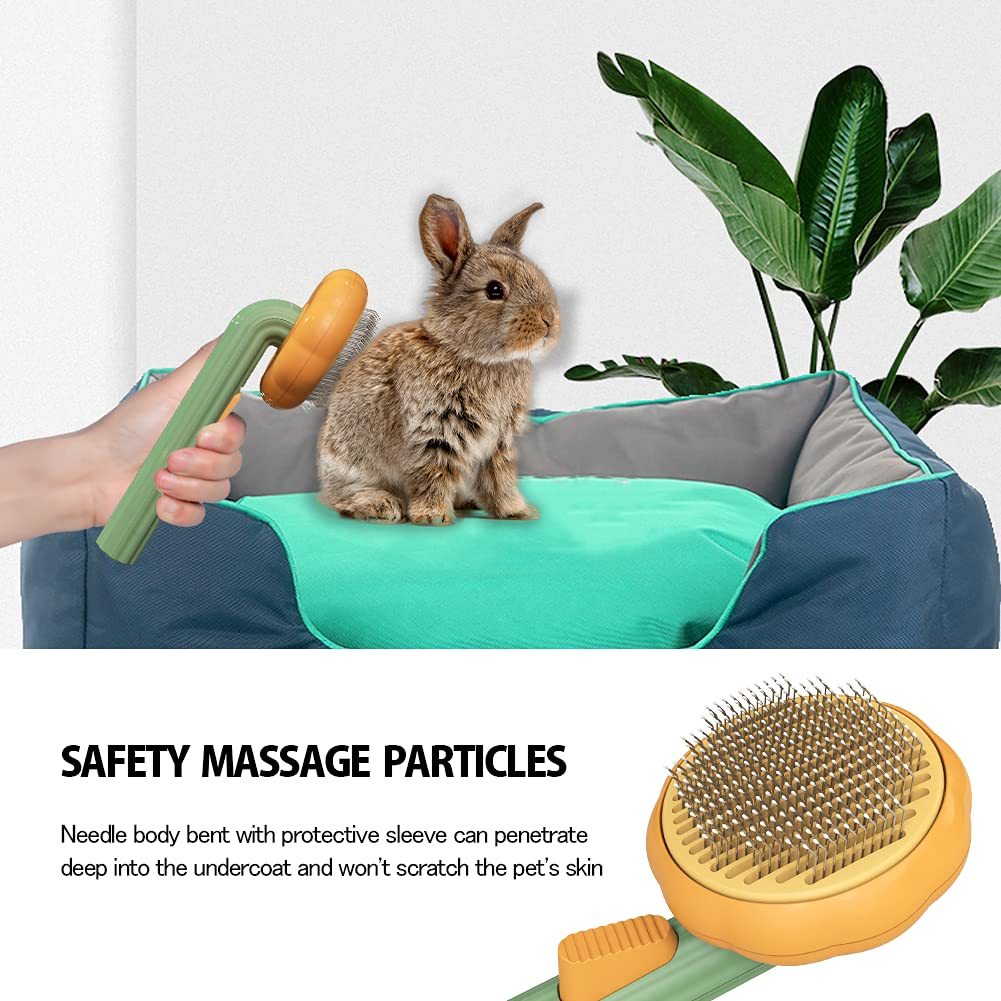 Transform Grooming Time with the Pet Pumpkin Hair Slicker Brush
