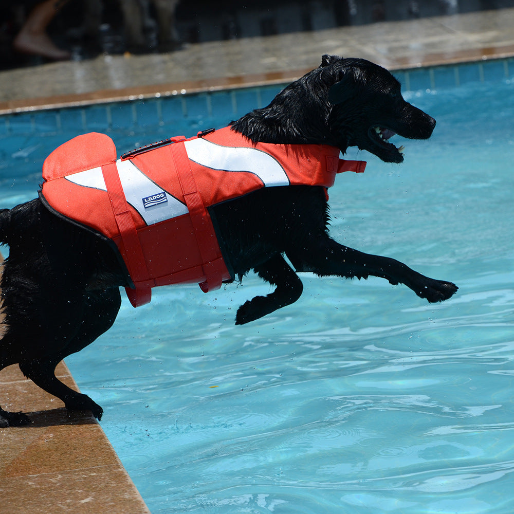Transform Your Pet's Adventures with the Mermaid Shark Pet Jacket