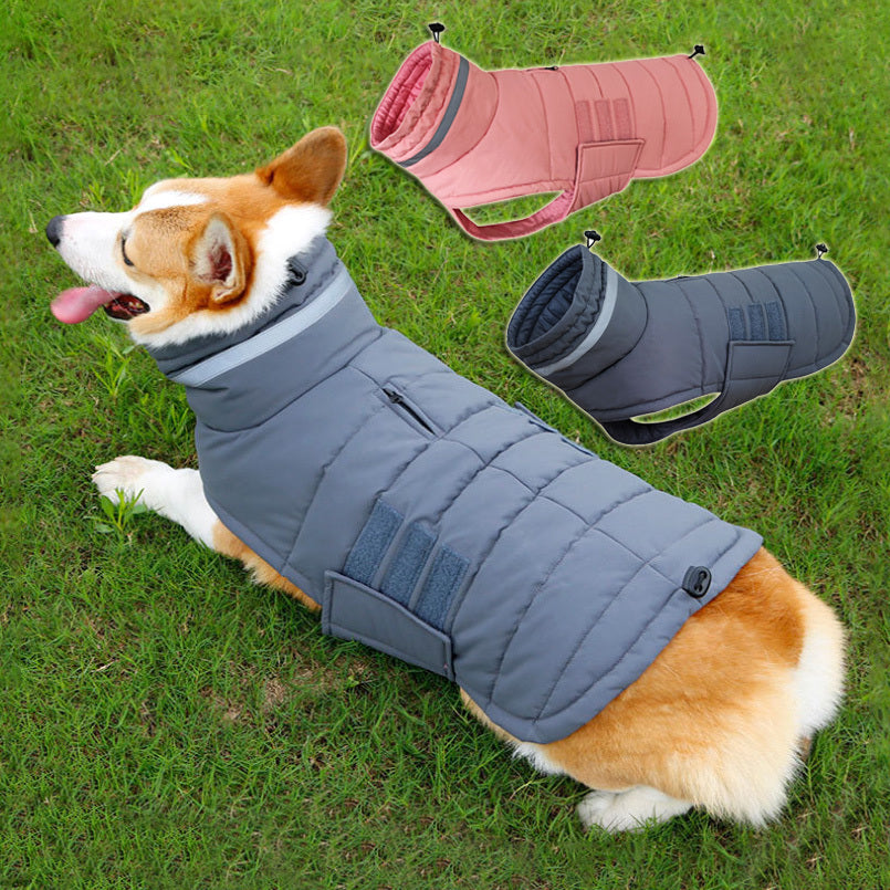 The Ultimate Winter Companion for Your Pet