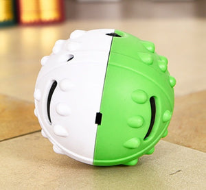 Why Your Dog Needs a Leaking Toy
