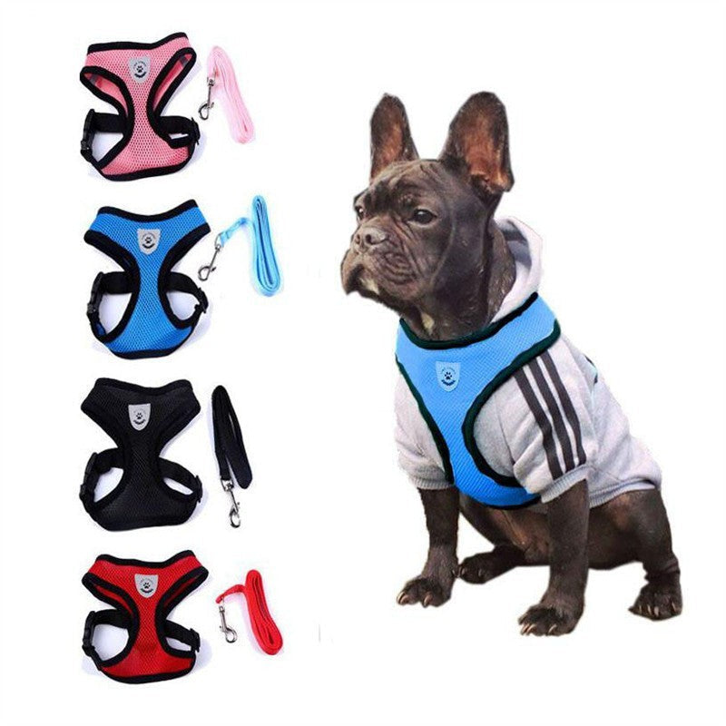 Why Every Pet Owner Needs the Pet Car Seat Belt Leash