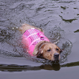 Make a Splash with Our Pet Life Jacket