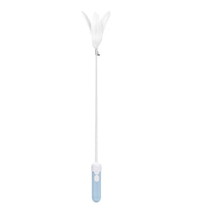 Unleash the Fun with the Pet Feather Teasing Stick Toy