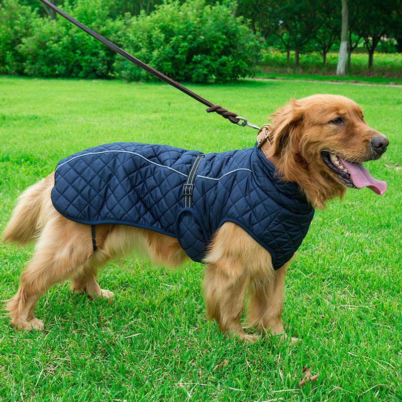 Wrap Your Furry Friend in Comfort