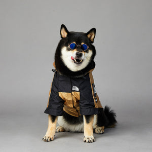 Why Your Dog Needs the Large Dog Raincoat Pet Jacket