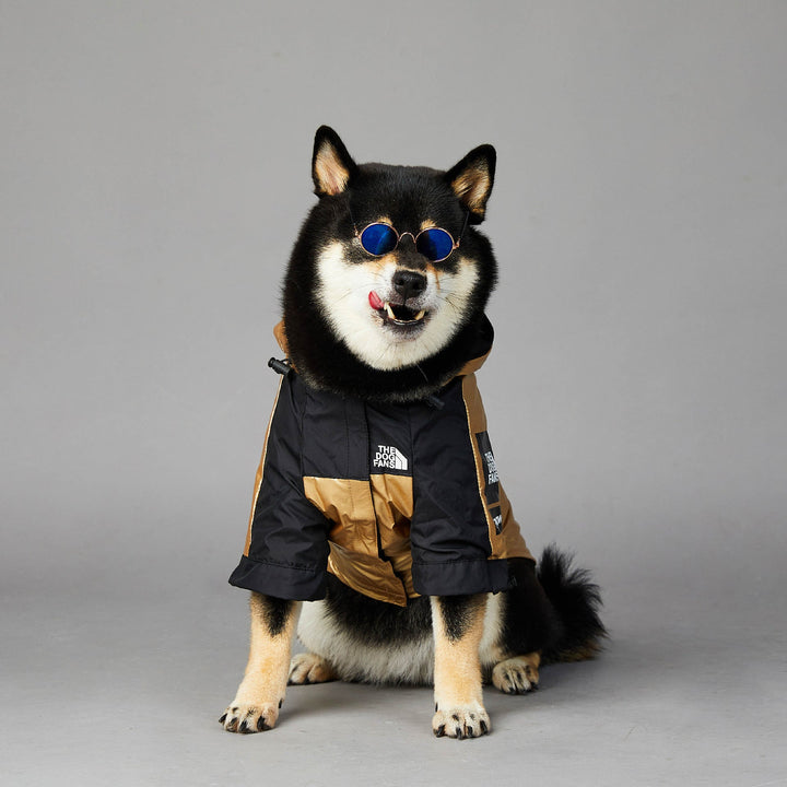 Why Your Dog Needs the Large Dog Raincoat Pet Jacket