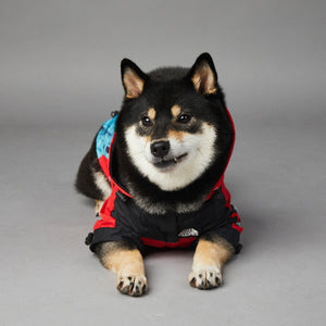 Keep Your Pup Cozy with Our Windproof and Rainproof Dog Pet Shell Jacket