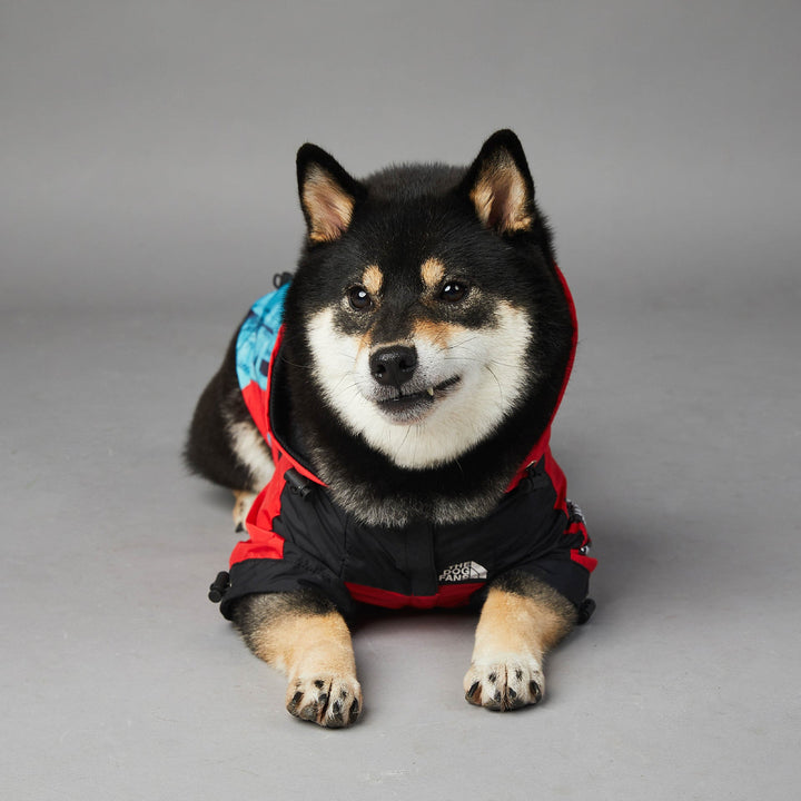 Keep Your Pup Cozy with Our Windproof and Rainproof Dog Pet Shell Jacket