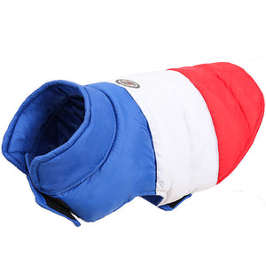 Wrap Your Pet in Warmth this Autumn and Winter