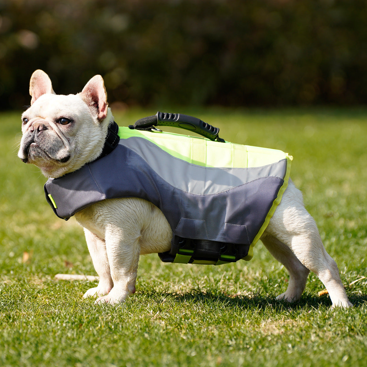 Reflective Pet Dog Swimsuit Life Jacket