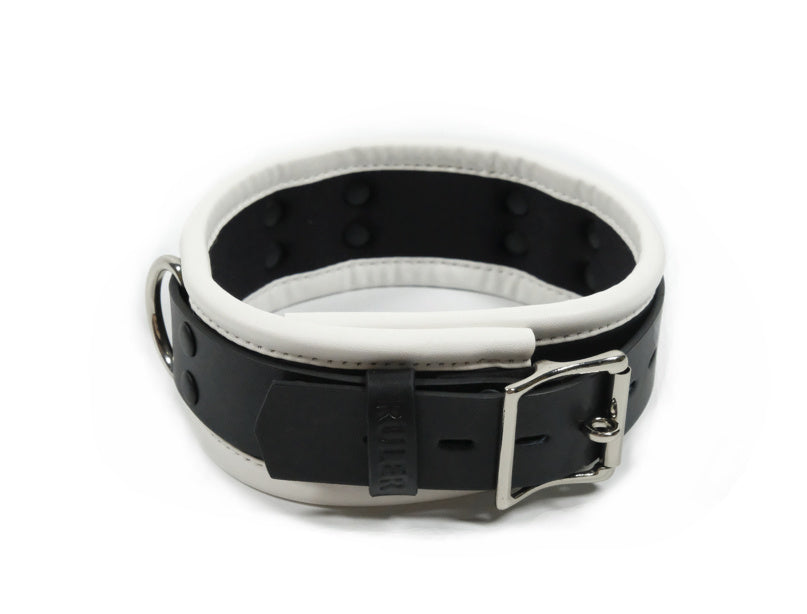 Dog Role Playing Collar