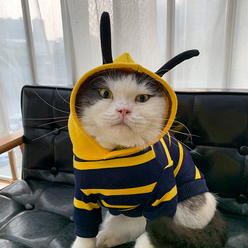 Winter Warm Pet Bee Costume Jacket