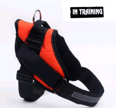 Pet chest back big dog leash