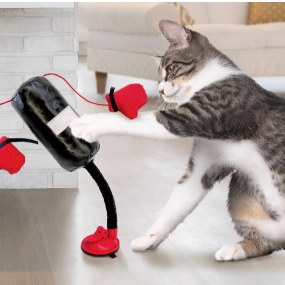 Multi-functional Cat Teasing And Boxing Toy