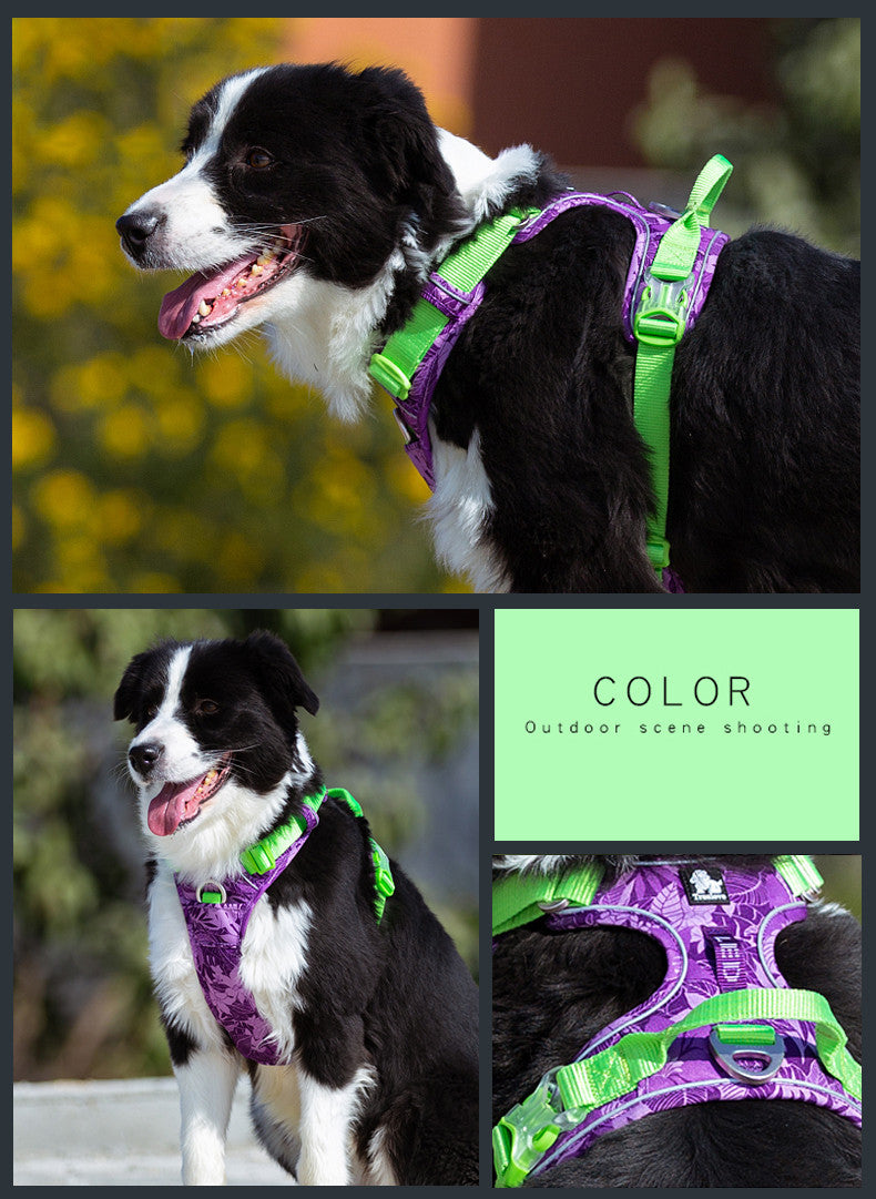 Dog leashes chain vest strap