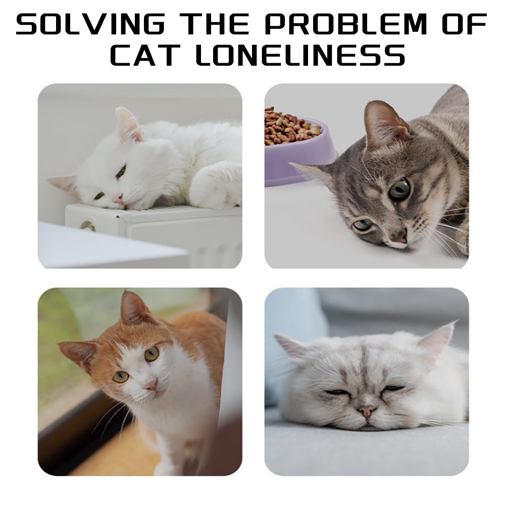 Interactive Pet Tug Toy