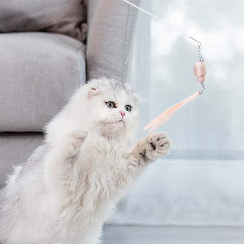 Cat Laser Set Feather Funny Cat Stick Toy