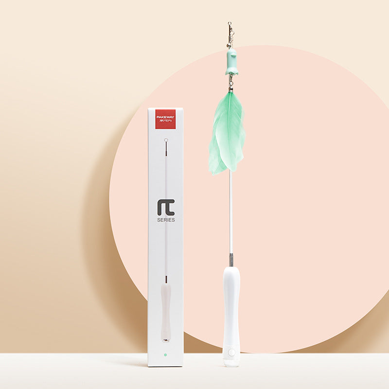 Cat Laser Set Feather Funny Cat Stick Toy