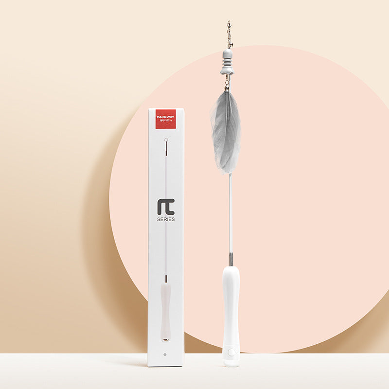 Cat Laser Set Feather Funny Cat Stick Toy