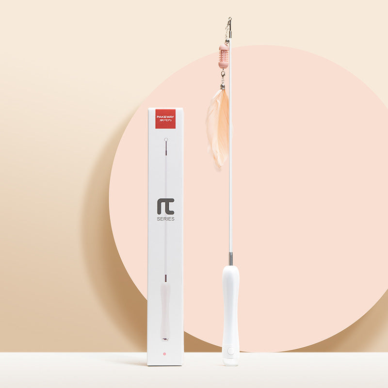 Cat Laser Set Feather Funny Cat Stick Toy