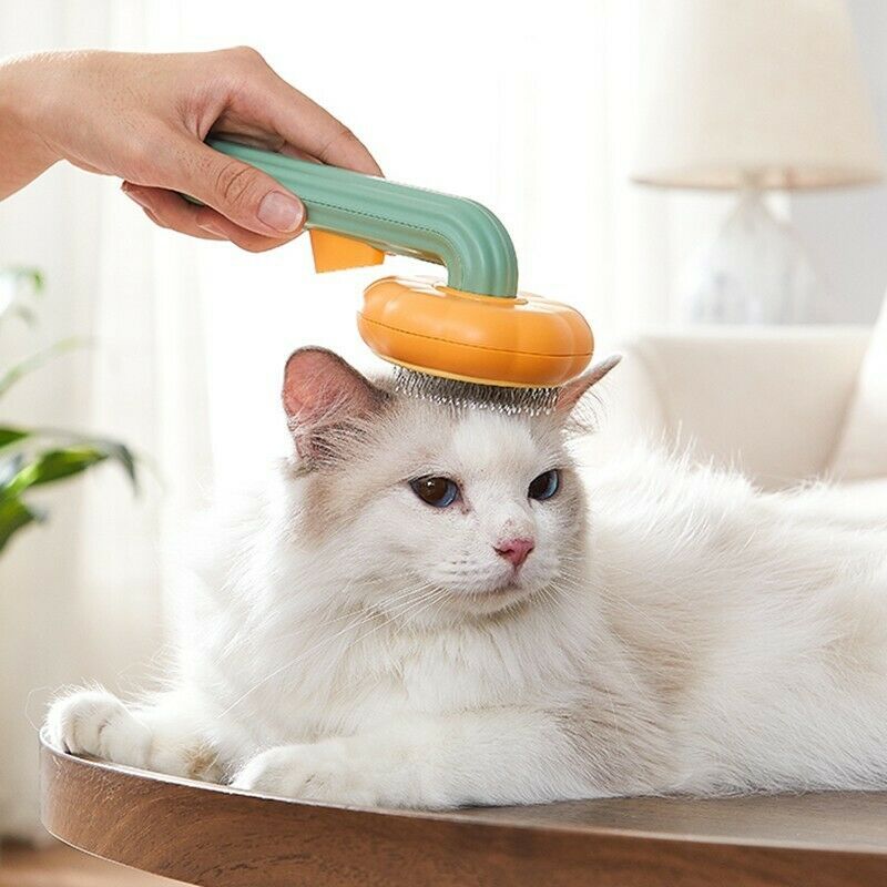Pet Pumpkin Hair Slicker Brush