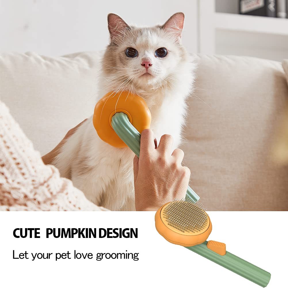 Pet Pumpkin Hair Slicker Brush