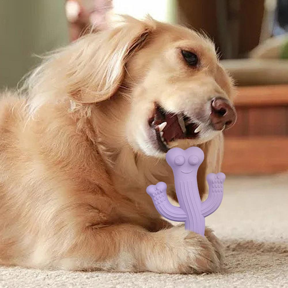 Dog Cactus Puppy Chew Toy