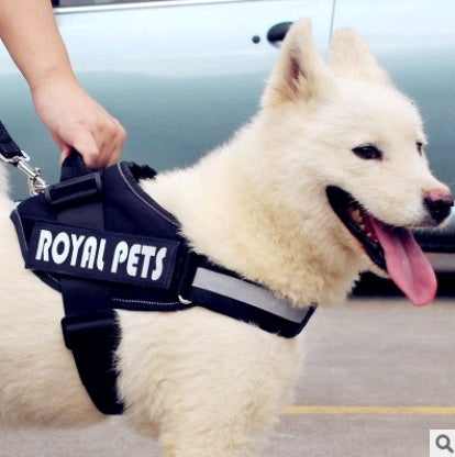 Pet chest back big dog leash