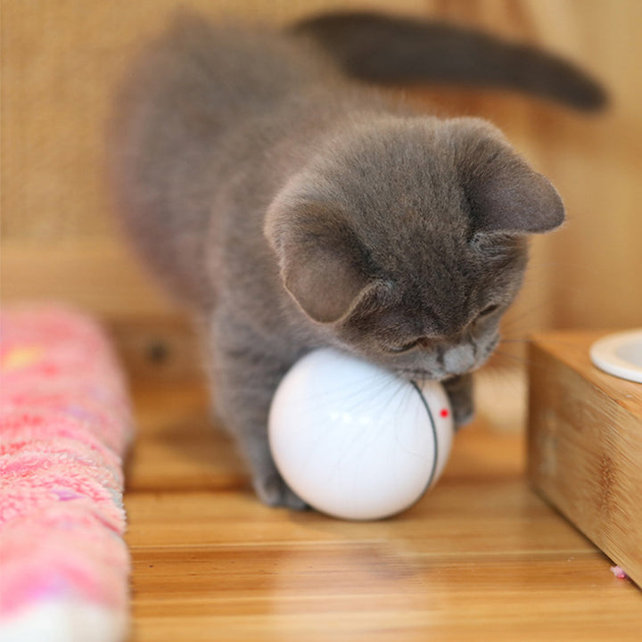 USB laser funny cat toy