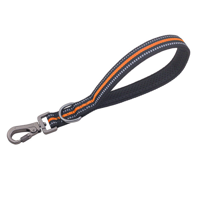 Big Dog Short Traction Leash Step Training