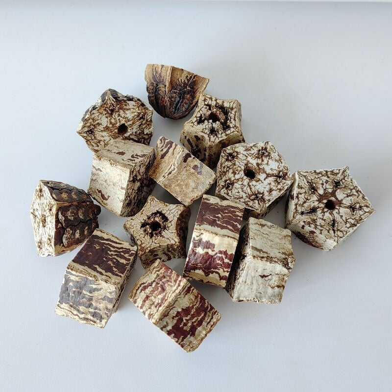 Parrot Bird Stand Rod Bird Cage