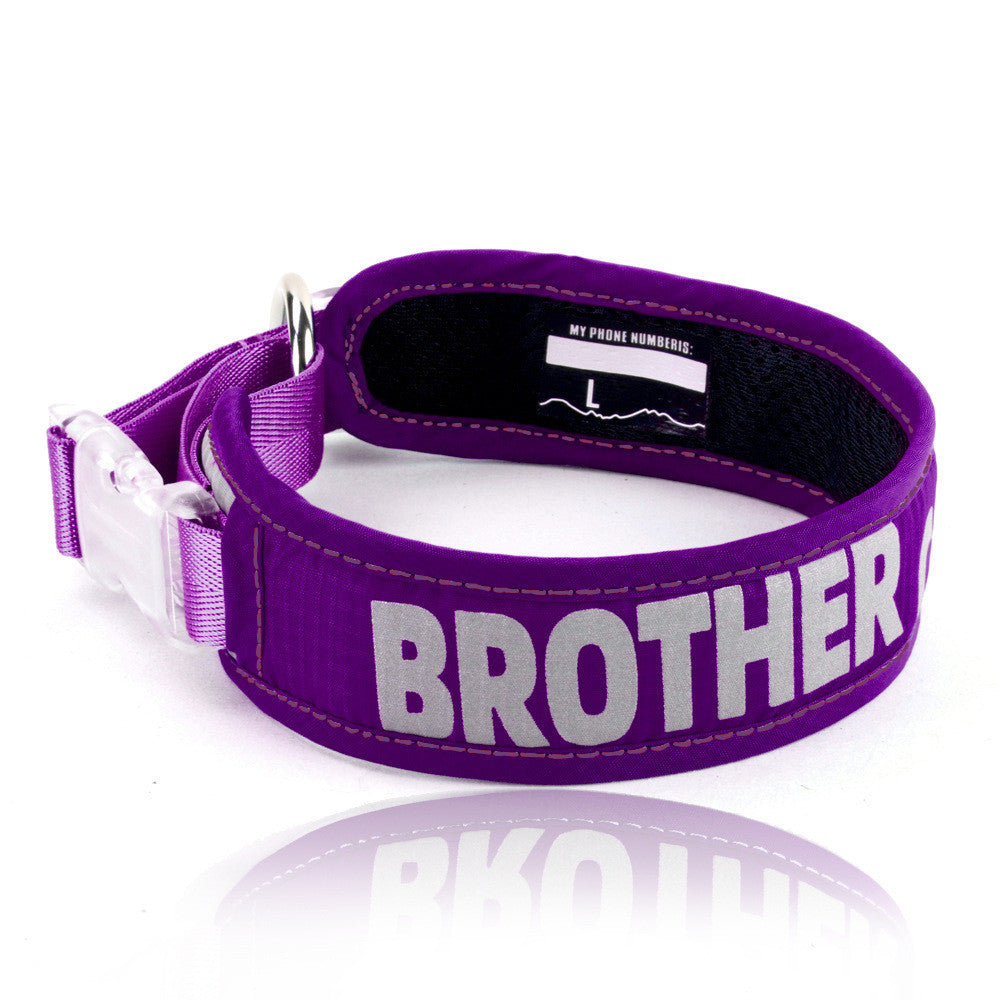 Explosion Proof Big Dog Chest Strap Leash