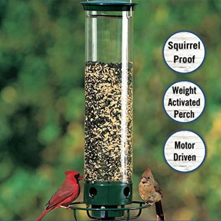 Outdoor Courtyard Hanging Feeder