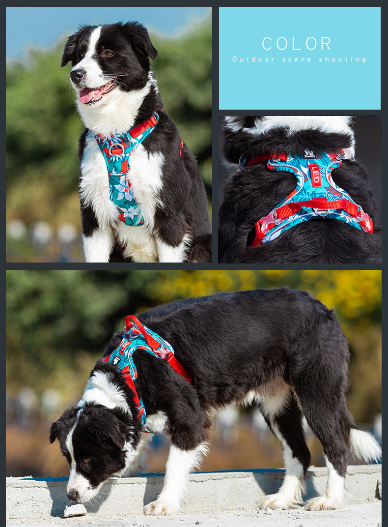 Dog leashes chain vest strap