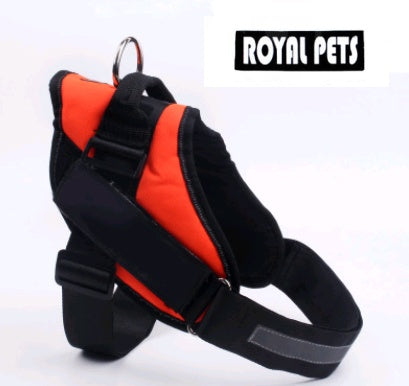 Pet chest back big dog leash