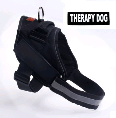 Pet chest back big dog leash