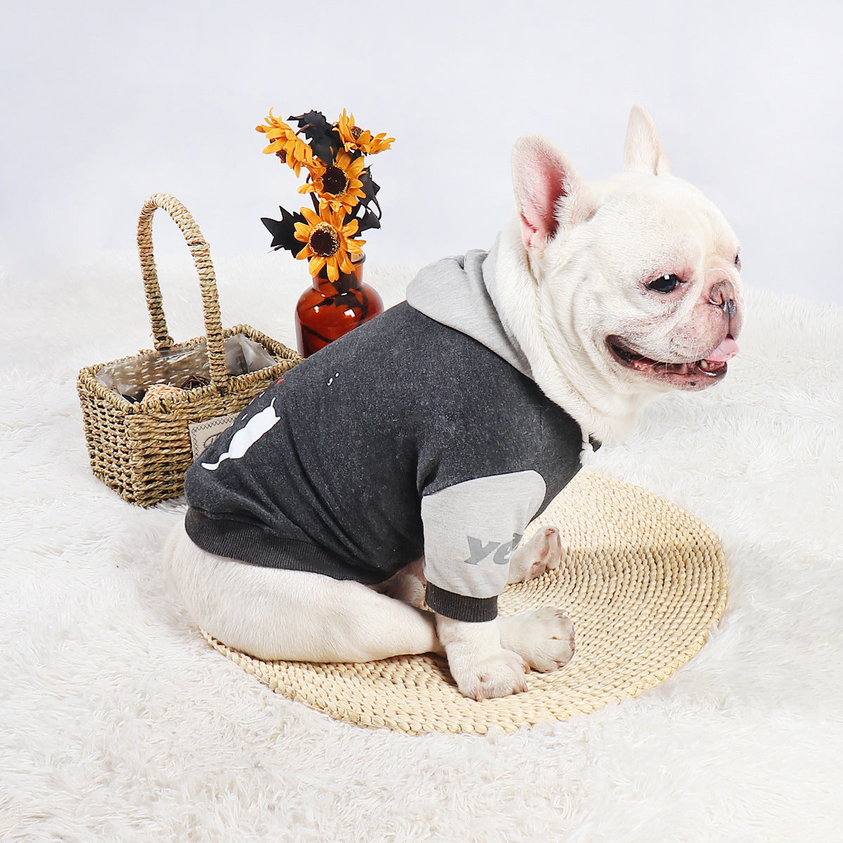 Pet Sweater Two-legged Clothes