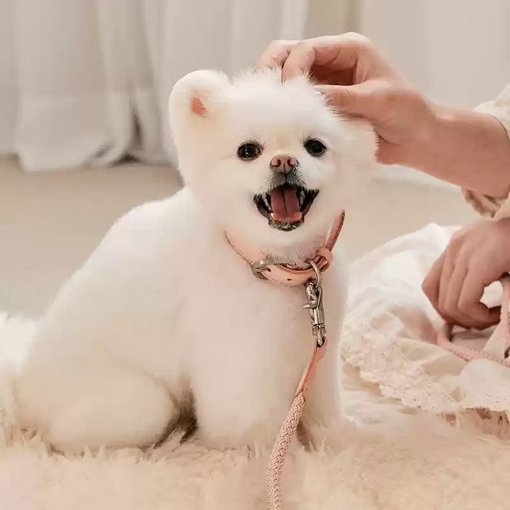 Leather Hand Holding Rope Dog Leash