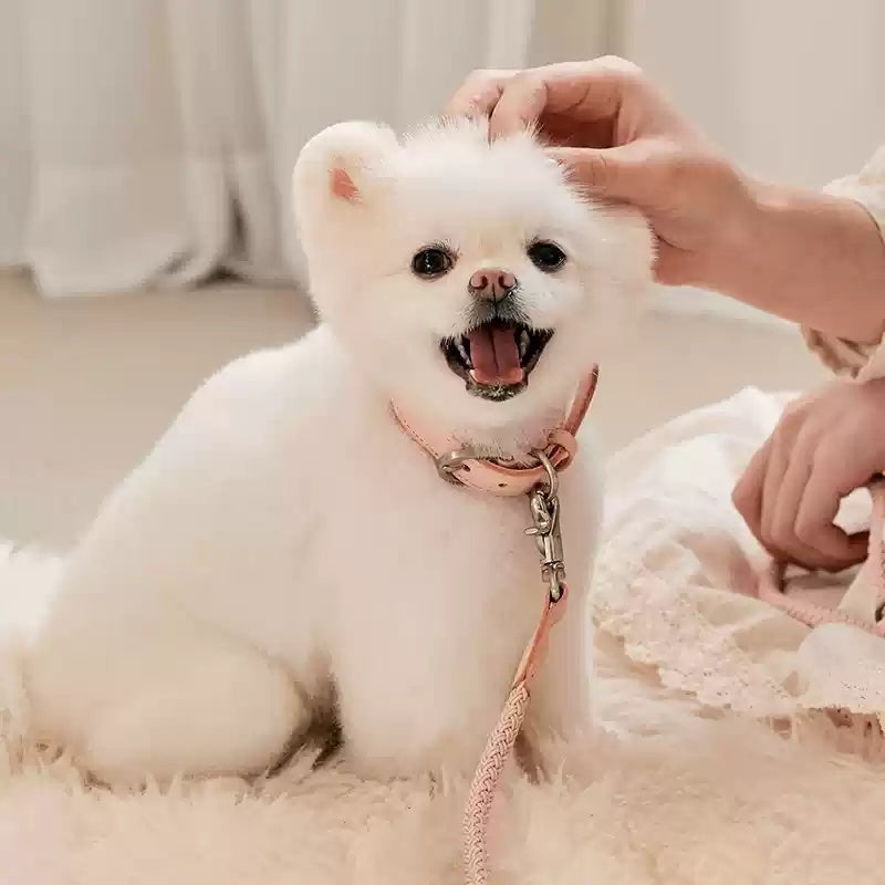 Leather Hand Holding Rope Dog Leash