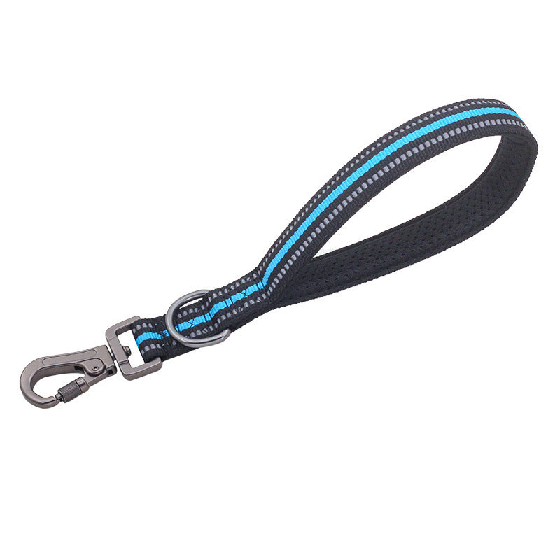 Big Dog Short Traction Leash Step Training