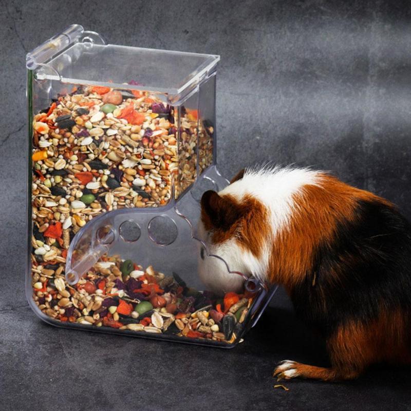 Hamster Feeder Food Box