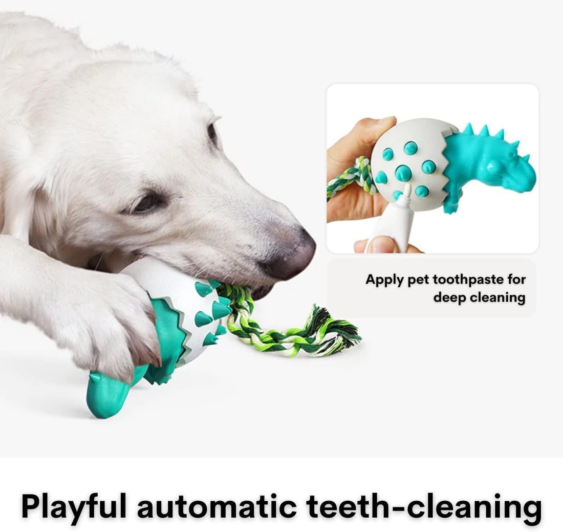 Dog Teething Rubber Chew Toy