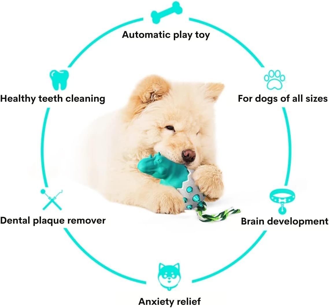 Dog Teething Rubber Chew Toy