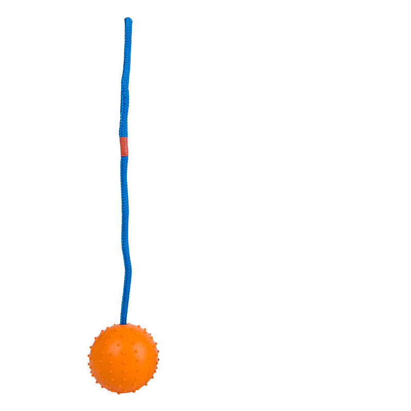 Pet Dog Training Ball With Rope Rubber Toy