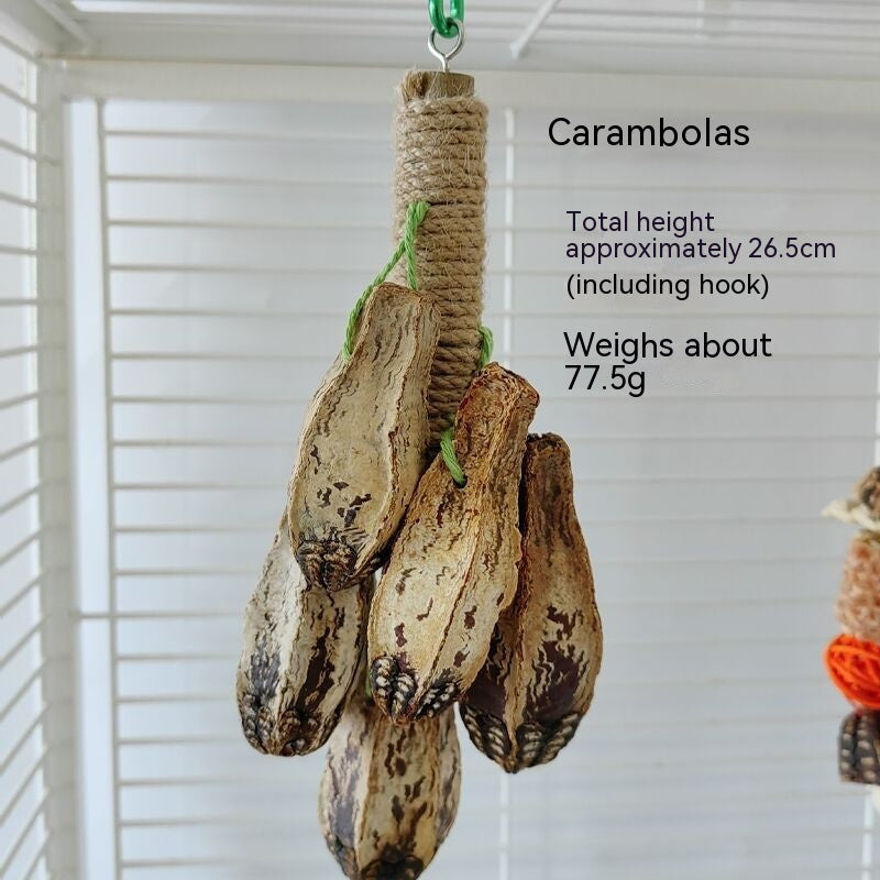 Parrot Bird Stand Rod Bird Cage